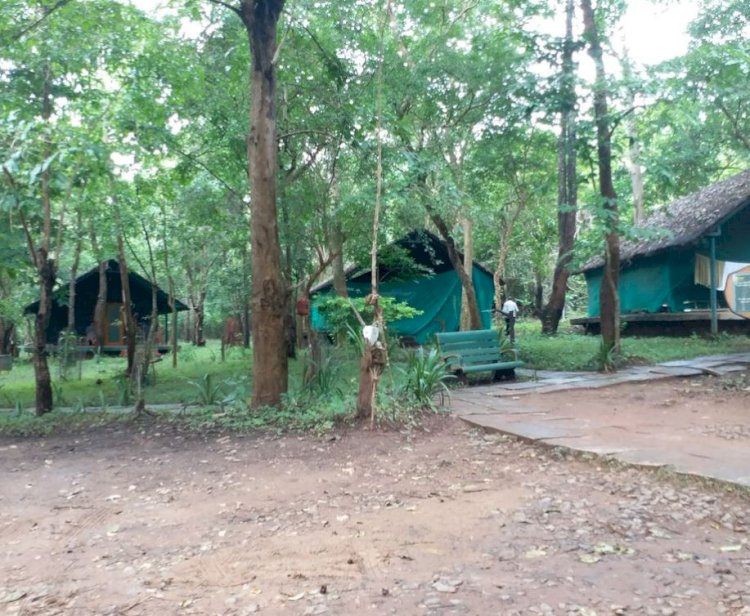 How nice to see the Sakrebyle elephant camp!